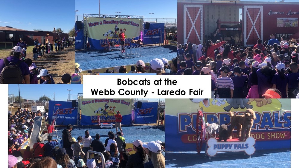 Bobcats at the Webb County - Laredo Fair