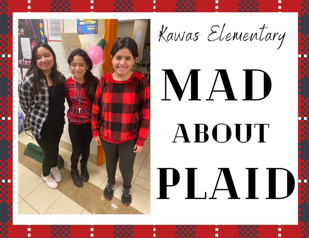 Mad about Plaid