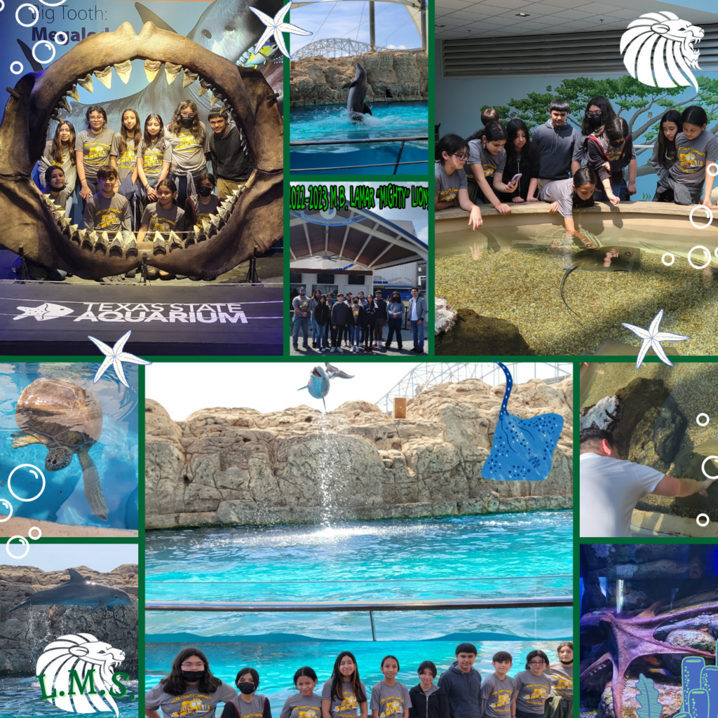 Aquarium trip 2