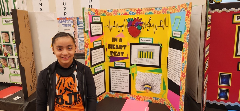 LISD budding scientist shine at elementary science fair | Laredo ...